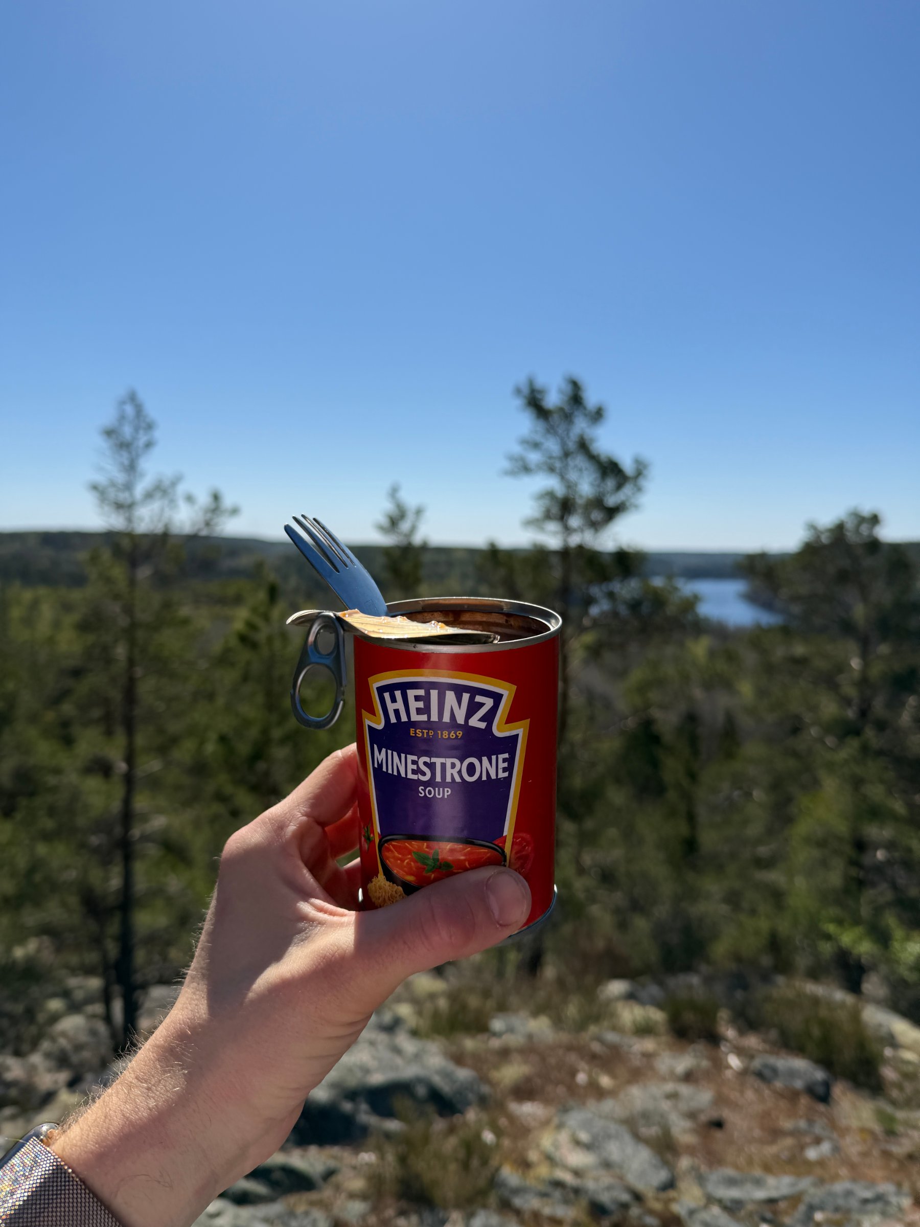 Vandringsbild